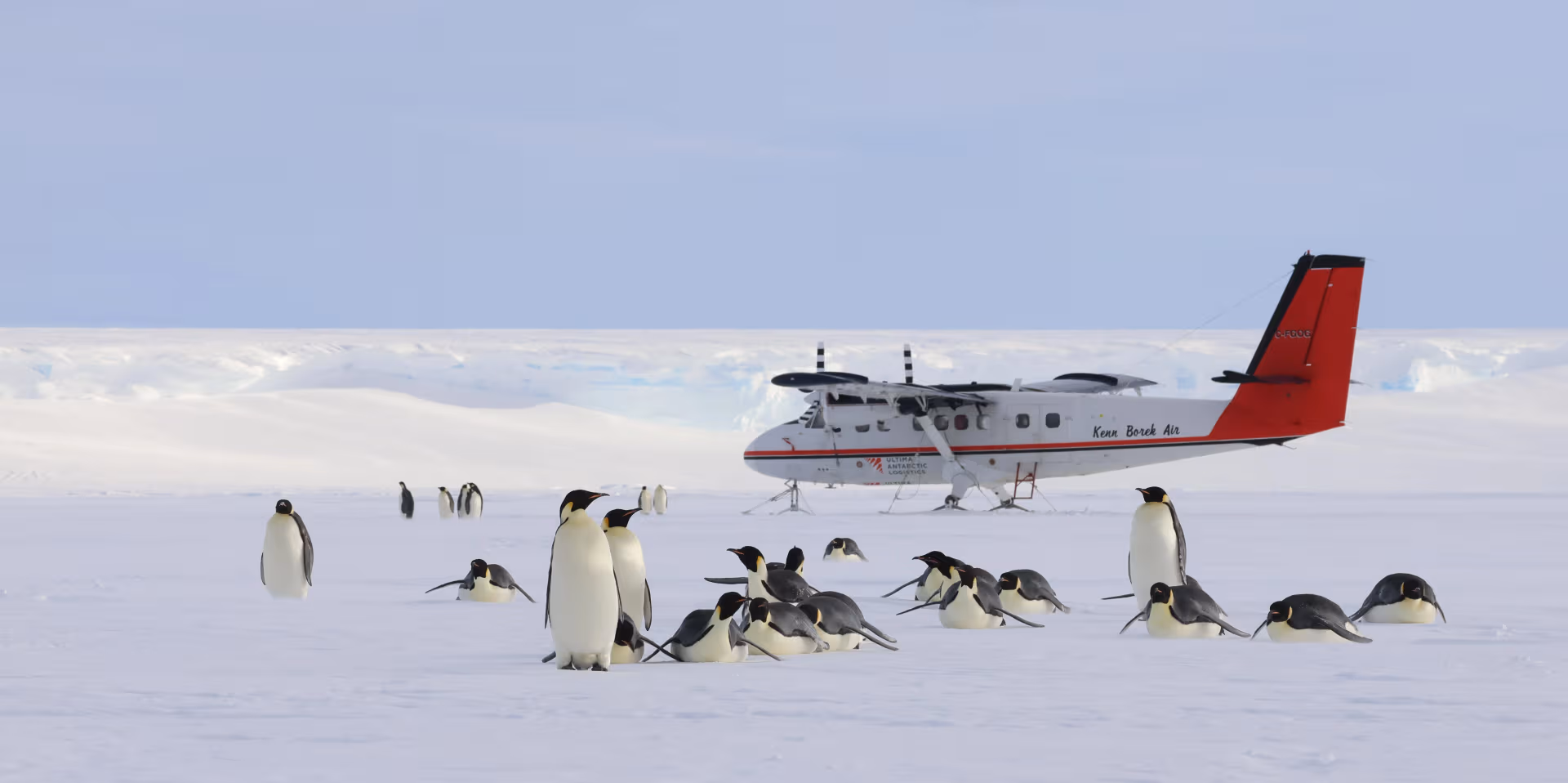 f4e1d8f13437976ba570528cc5de9d1b0df0fd1a-6556x3271